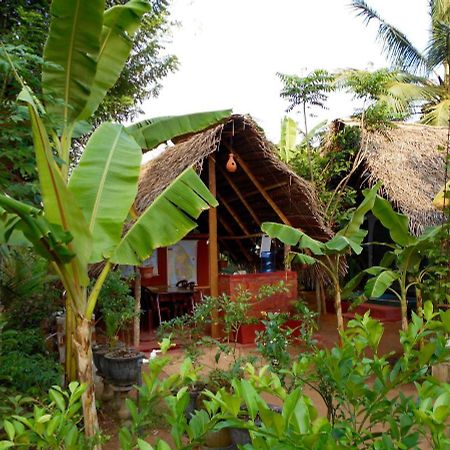 Homestay Camping Anuradhapura Eksteriør bilde