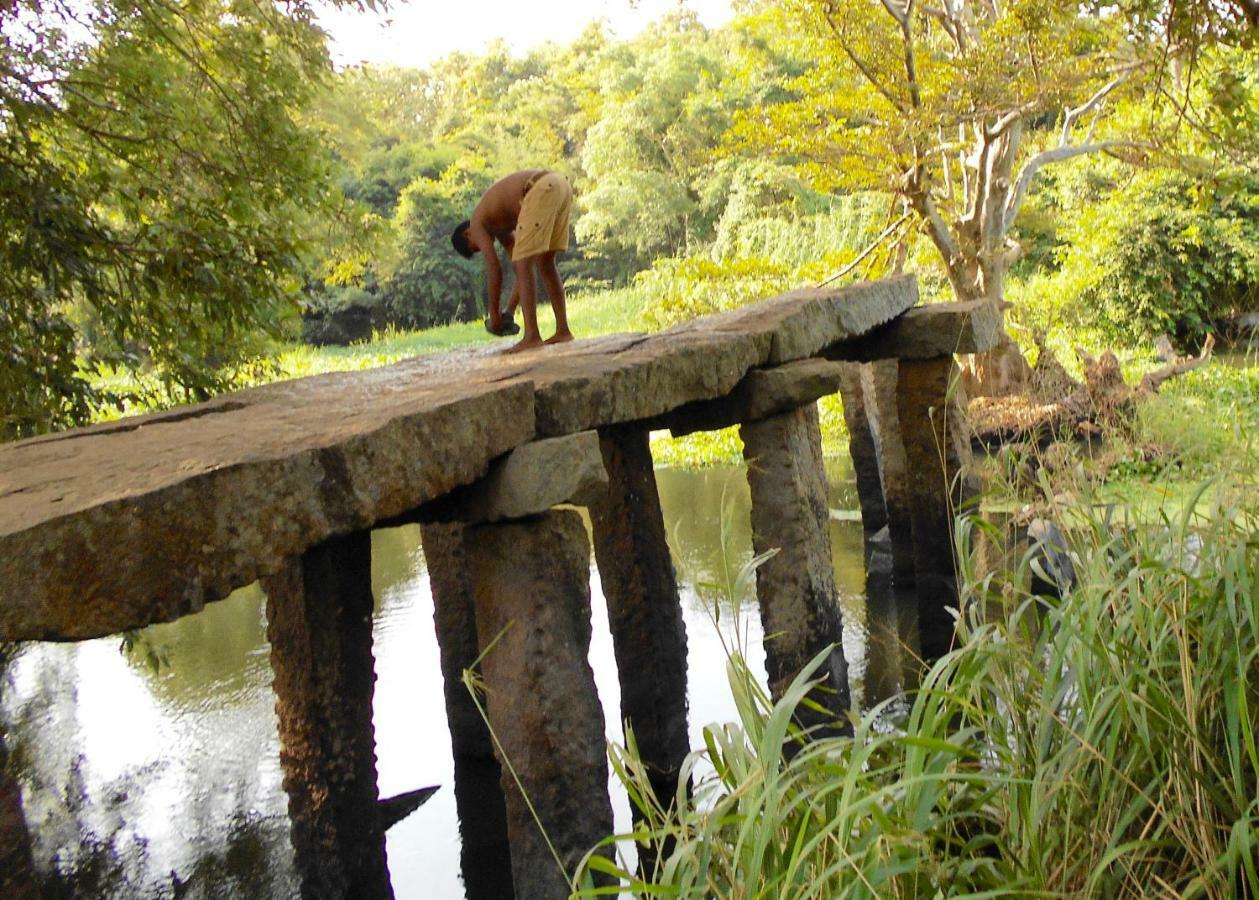 Homestay Camping Anuradhapura Eksteriør bilde