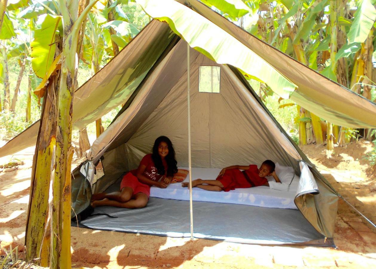 Homestay Camping Anuradhapura Eksteriør bilde