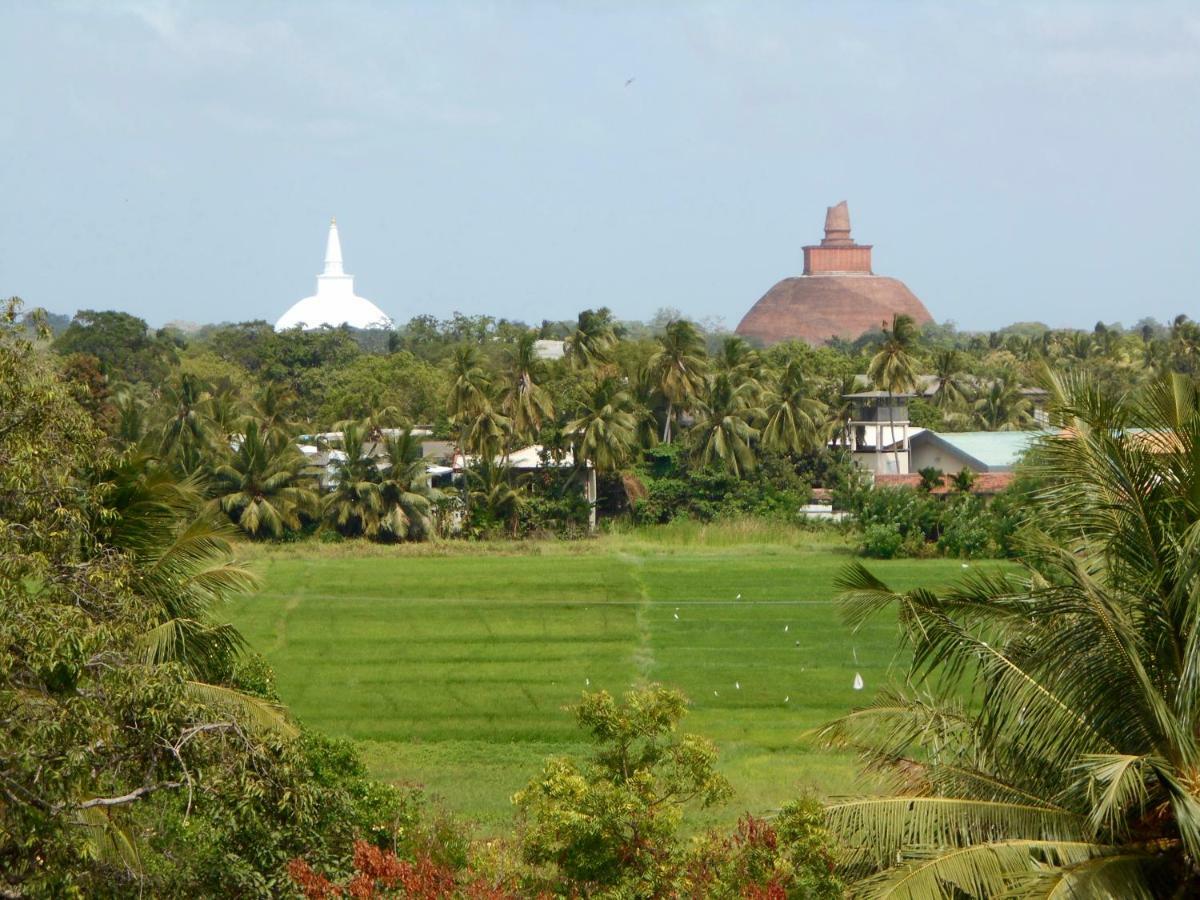 Homestay Camping Anuradhapura Eksteriør bilde