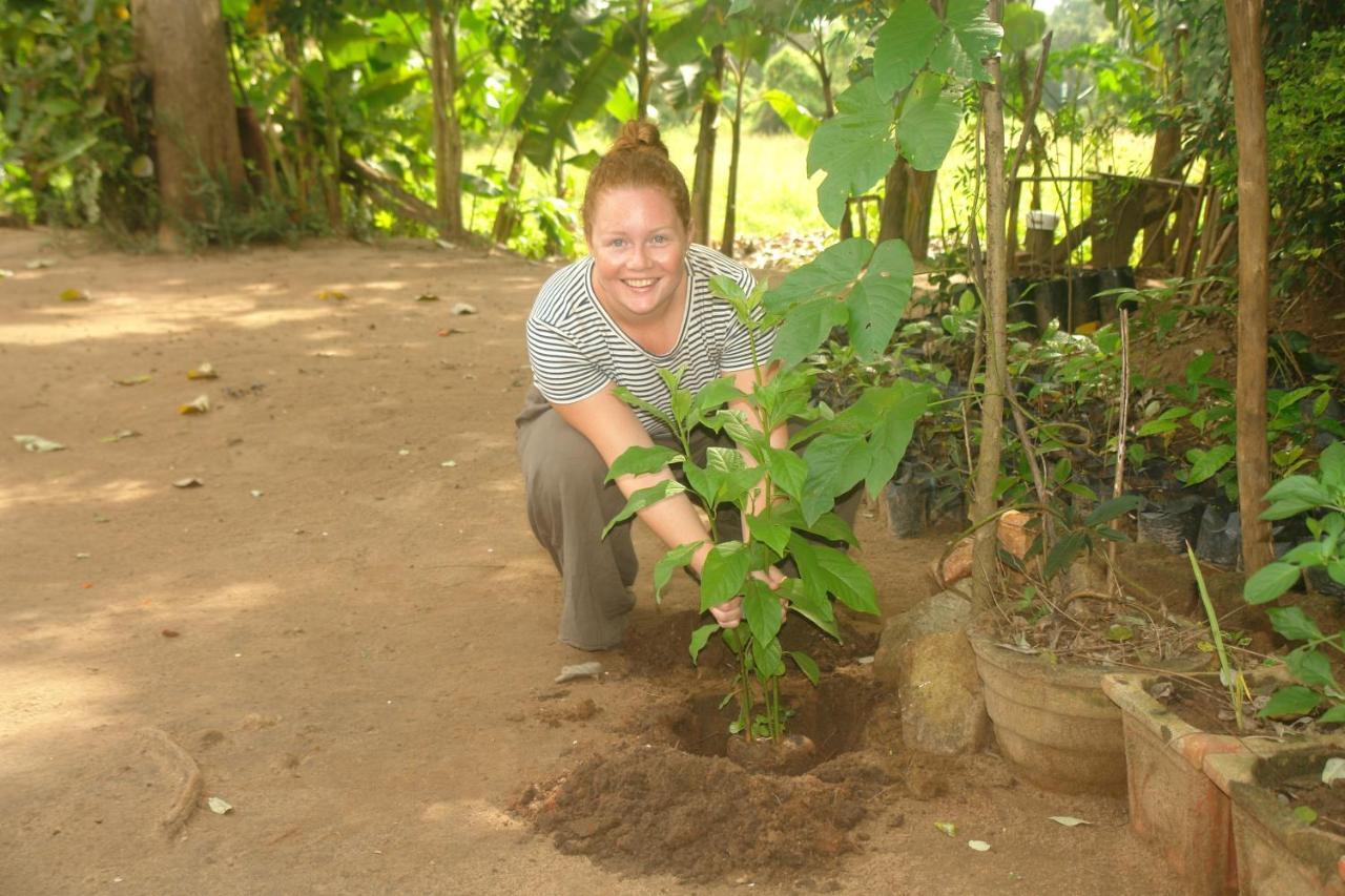 Homestay Camping Anuradhapura Eksteriør bilde